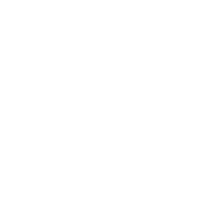LisFIT